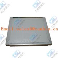 ICS Triplex T8162 CS300 Bridge Module